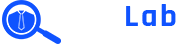 ViserLab